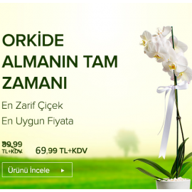 Orkideler